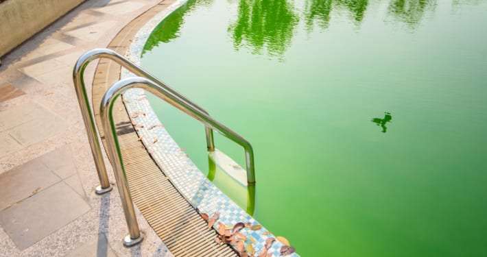 Tips For Dealing with Pool Algae