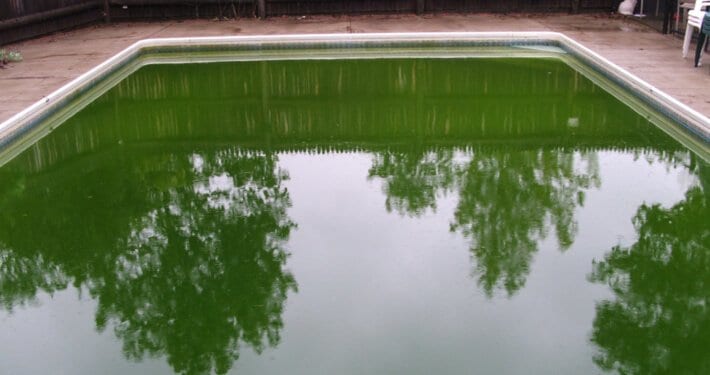 Why Do I Have Green Pool Water?