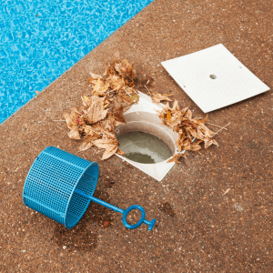 Pool Skimmer Basket Cleaning