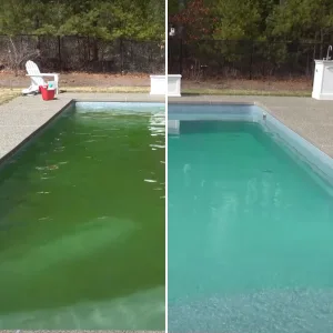 Adding an Algaecide to Pool