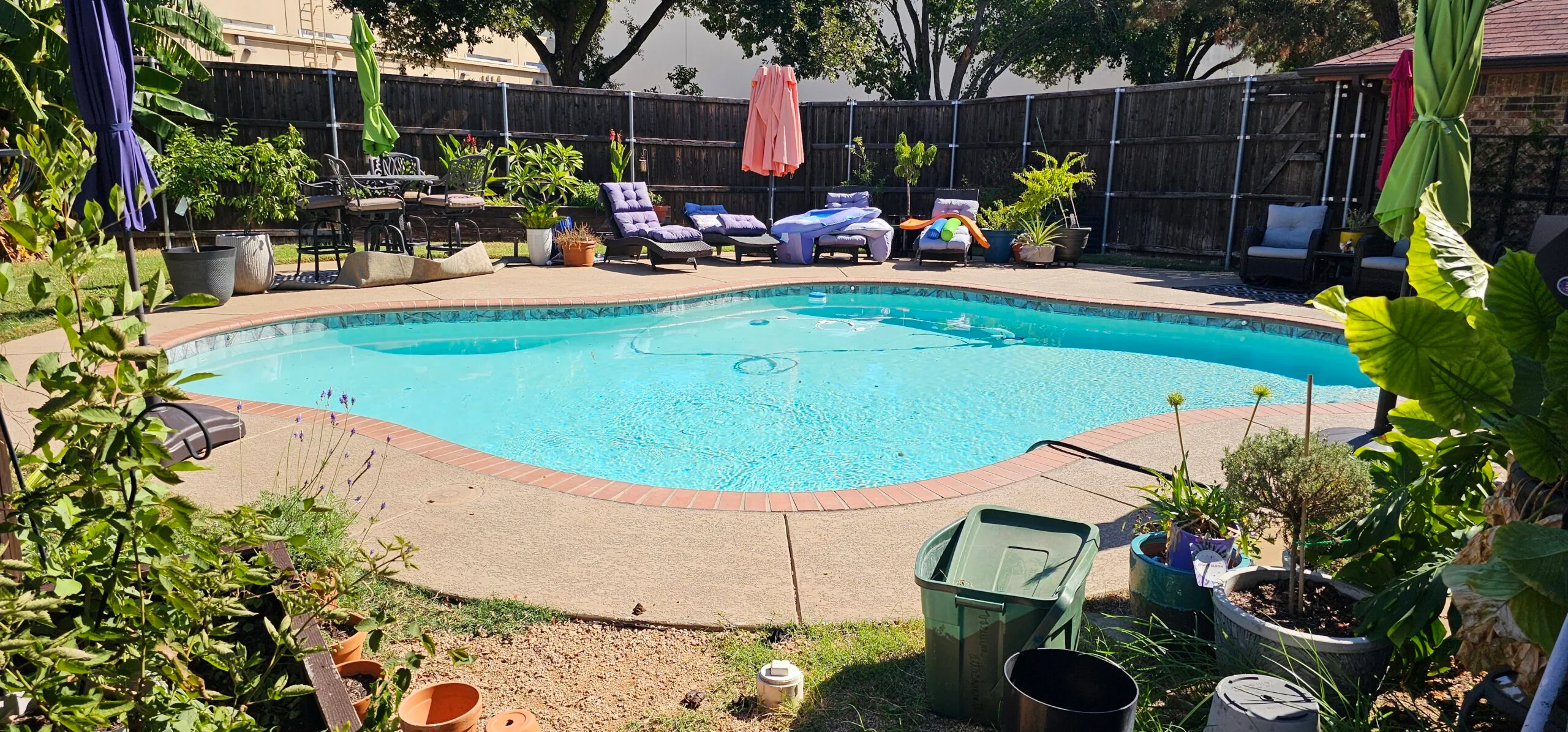 How to maintain a saltwater Pool tips