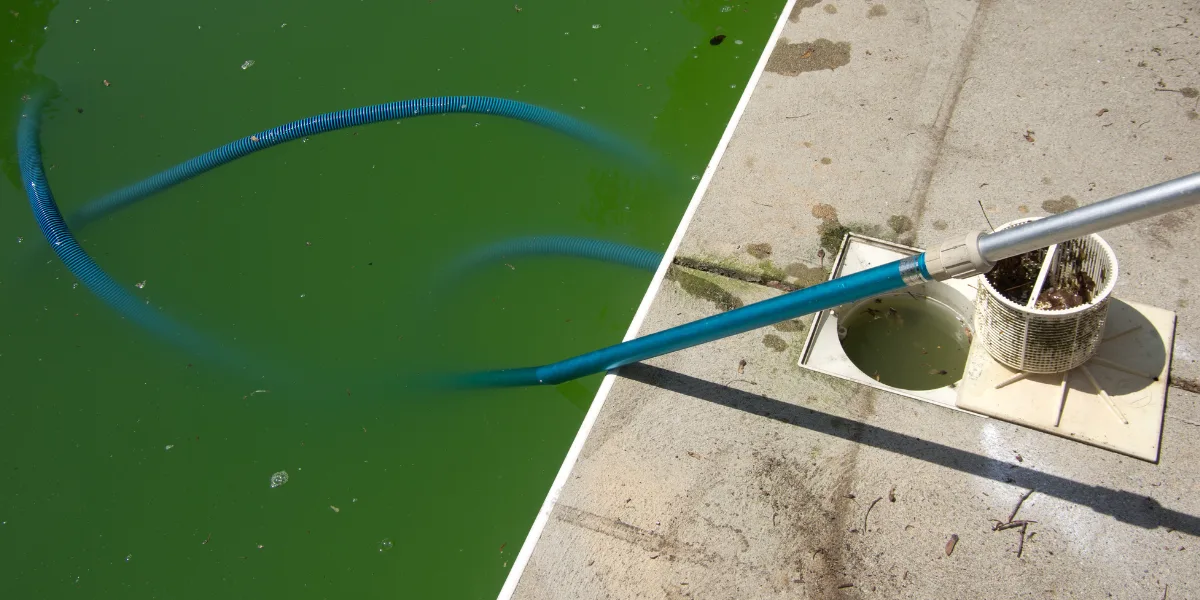 How to get rid of algae in saltwater pool